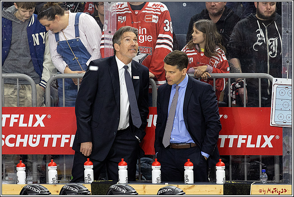 PENNY DEL - Viertelfinale;  Koelner Haie - Adler Mannheim; Koeln, 17.03.2023
